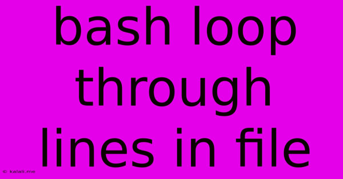 Bash Loop Through Lines In File