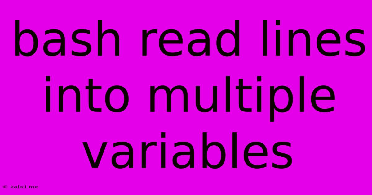 Bash Read Lines Into Multiple Variables