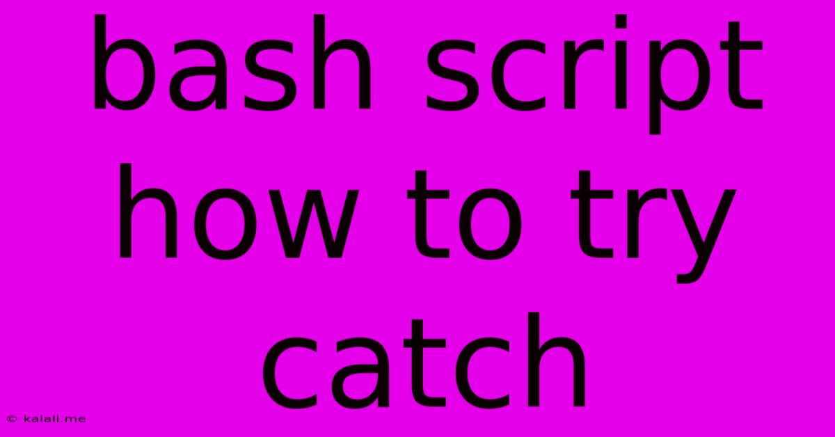 Bash Script How To Try Catch