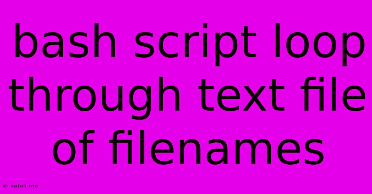 Bash Script Loop Through Text File Of Filenames