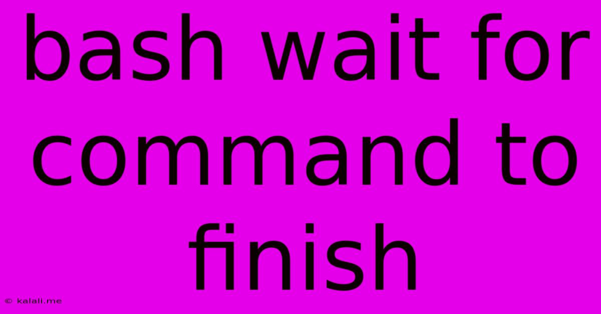 Bash Wait For Command To Finish