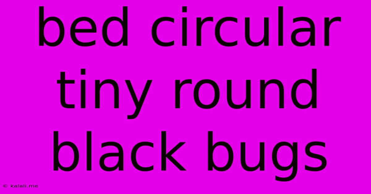 Bed Circular Tiny Round Black Bugs