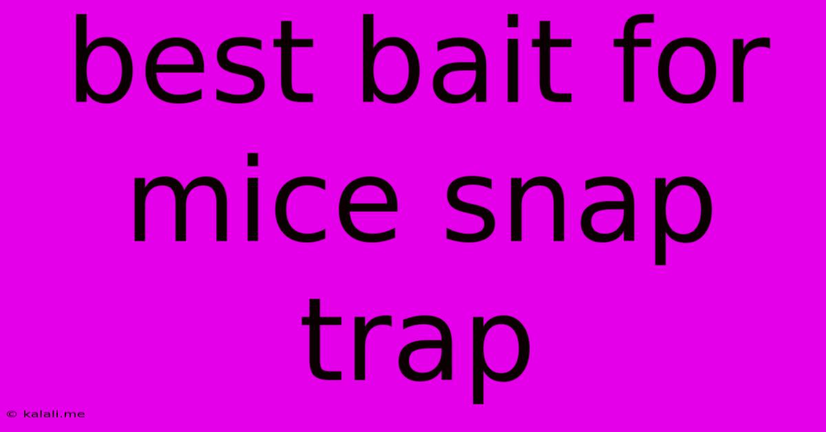 Best Bait For Mice Snap Trap