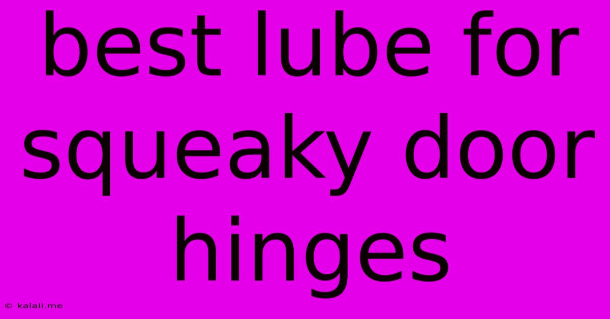 Best Lube For Squeaky Door Hinges