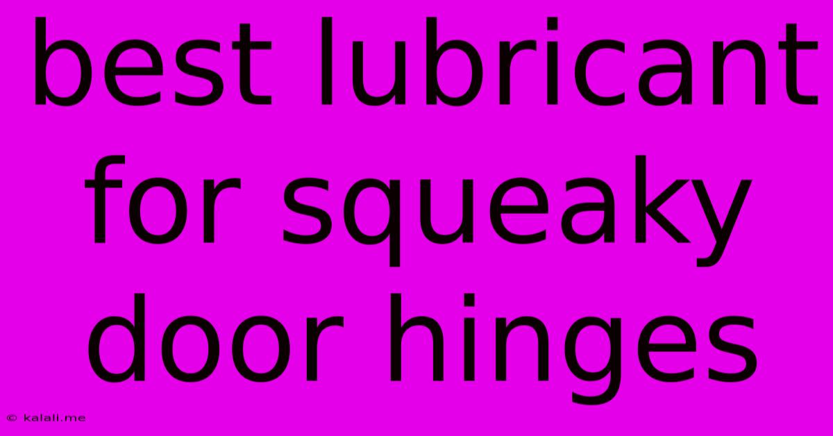 Best Lubricant For Squeaky Door Hinges