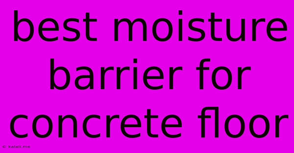 Best Moisture Barrier For Concrete Floor