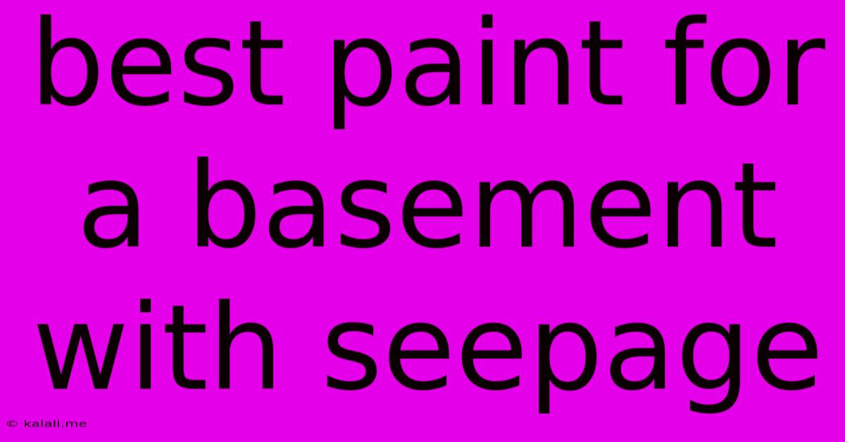 Best Paint For A Basement With Seepage