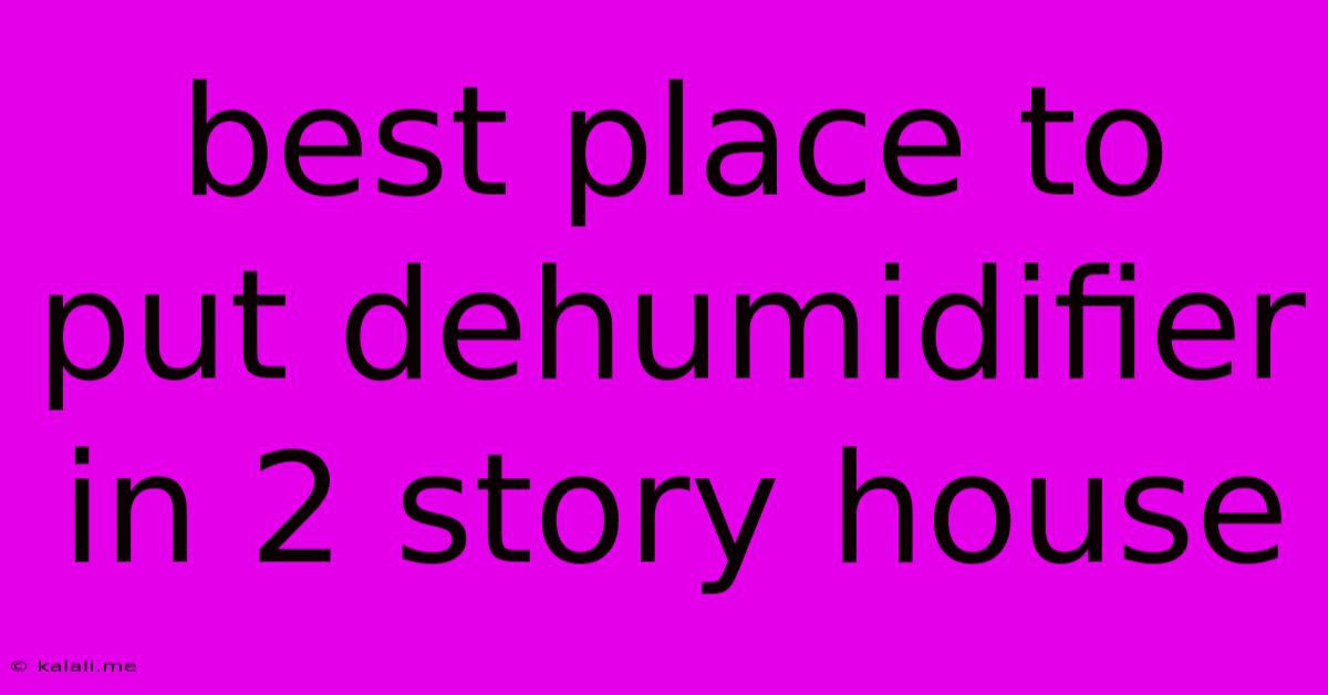 Best Place To Put Dehumidifier In 2 Story House