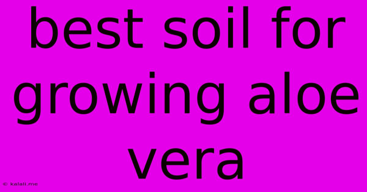 Best Soil For Growing Aloe Vera