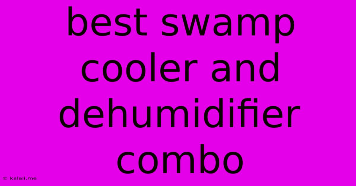 Best Swamp Cooler And Dehumidifier Combo