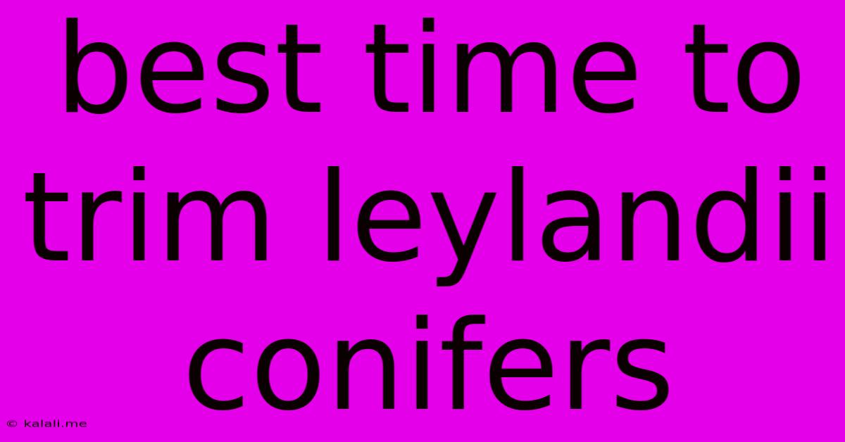 Best Time To Trim Leylandii Conifers