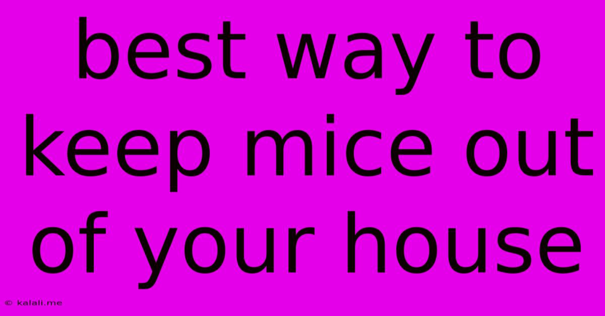 Best Way To Keep Mice Out Of Your House