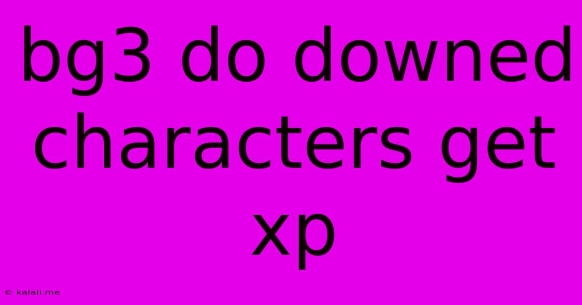 Bg3 Do Downed Characters Get Xp