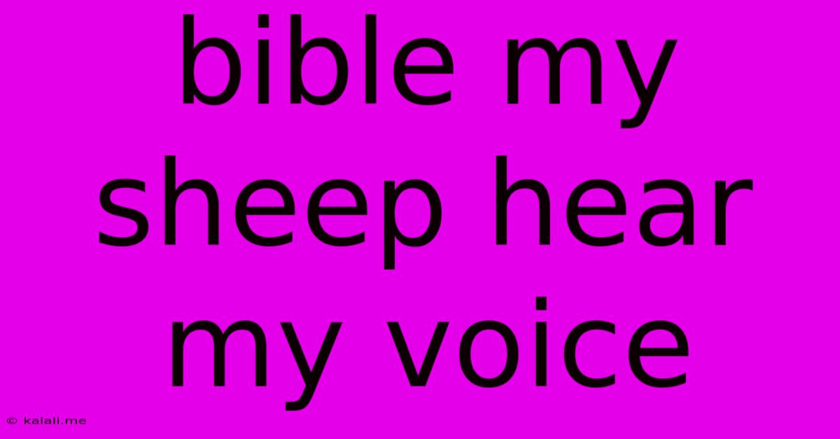 Bible My Sheep Hear My Voice