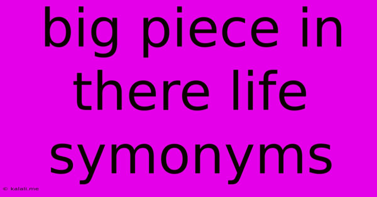 Big Piece In There Life Symonyms