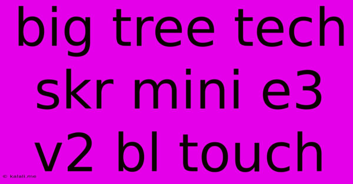 Big Tree Tech Skr Mini E3 V2 Bl Touch