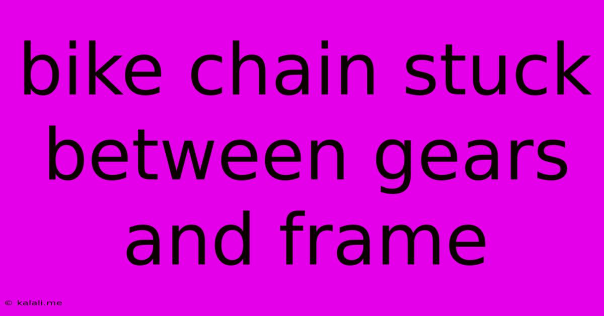 Bike Chain Stuck Between Gears And Frame