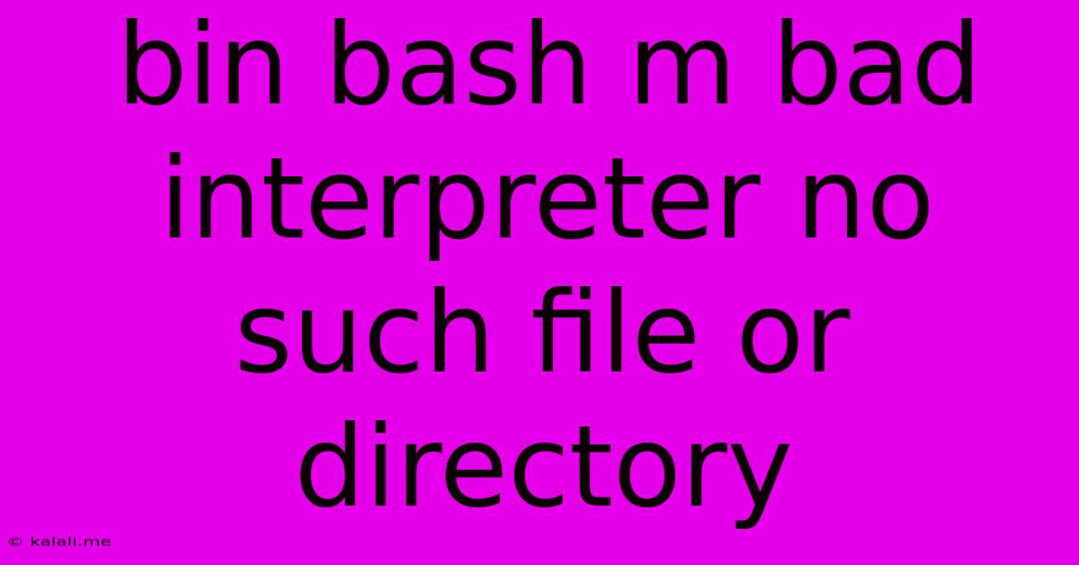 Bin Bash M Bad Interpreter No Such File Or Directory