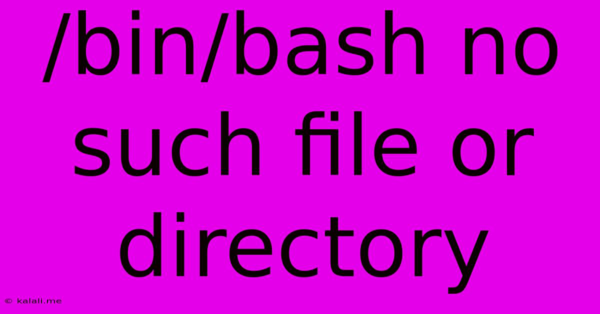 /bin/bash No Such File Or Directory