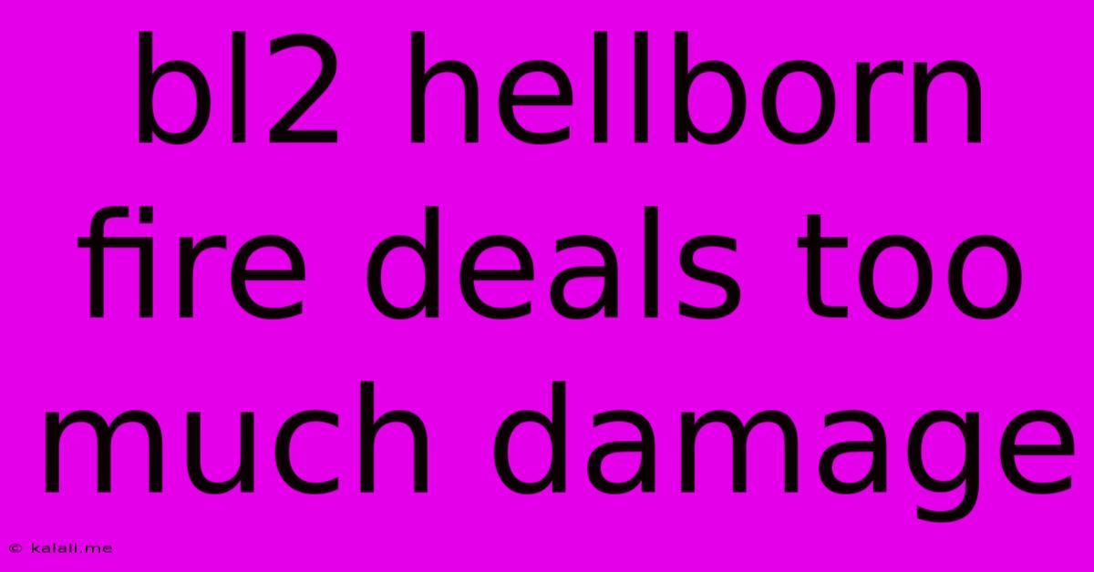 Bl2 Hellborn Fire Deals Too Much Damage