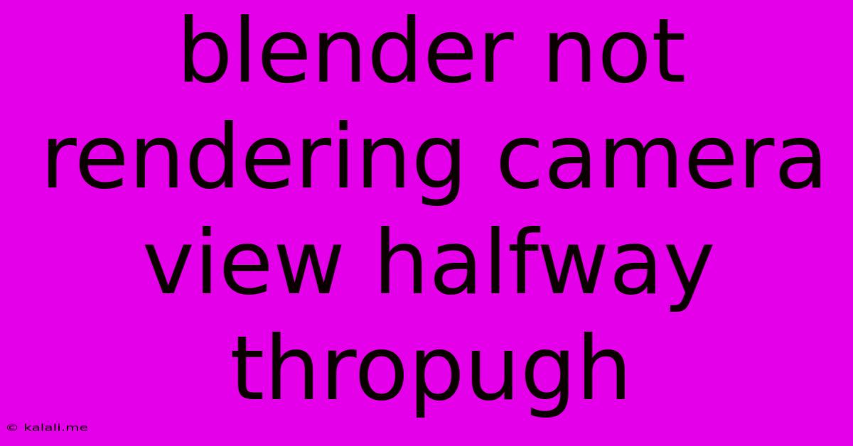 Blender Not Rendering Camera View Halfway Thropugh