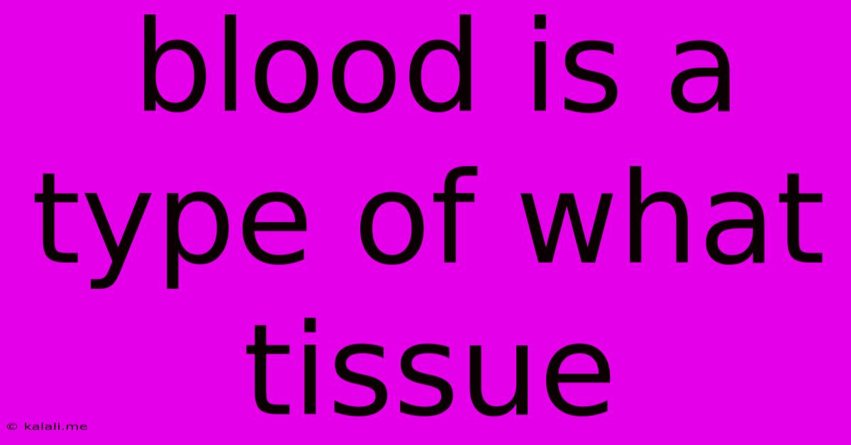 Blood Is A Type Of What Tissue