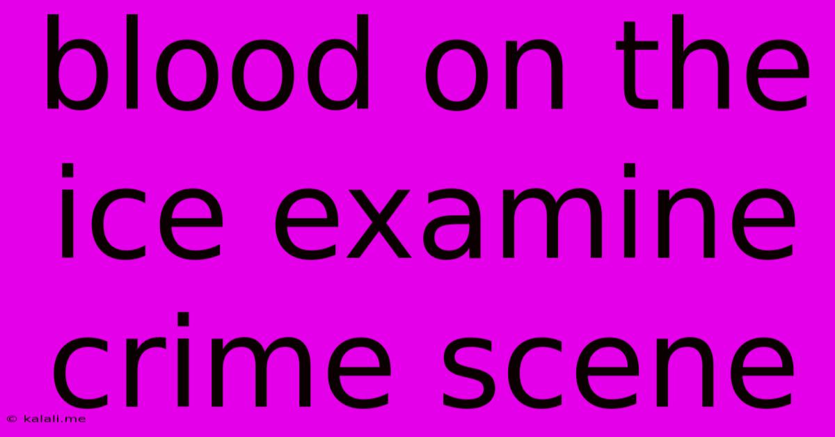 Blood On The Ice Examine Crime Scene