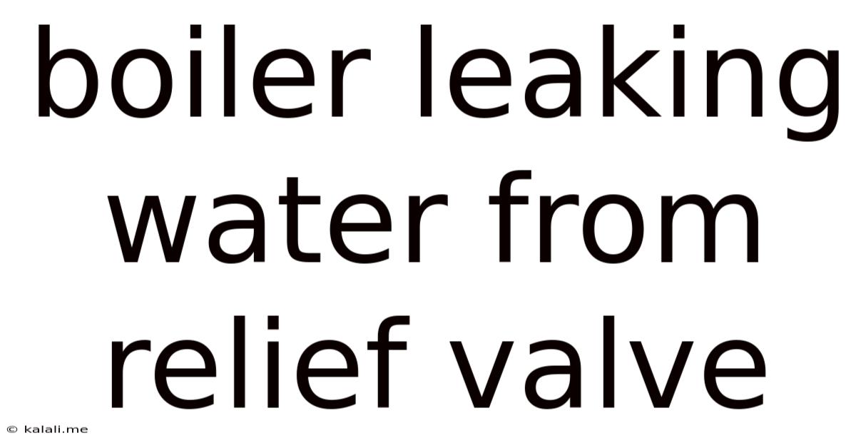 Boiler Leaking Water From Relief Valve