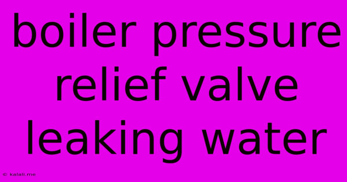 Boiler Pressure Relief Valve Leaking Water