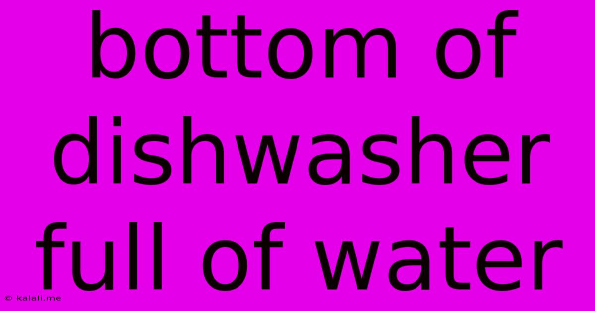 Bottom Of Dishwasher Full Of Water