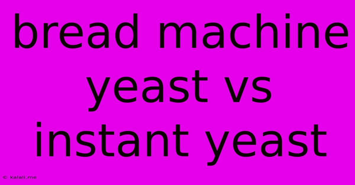 Bread Machine Yeast Vs Instant Yeast