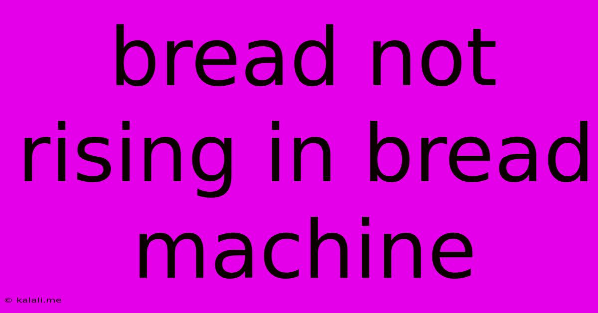 Bread Not Rising In Bread Machine