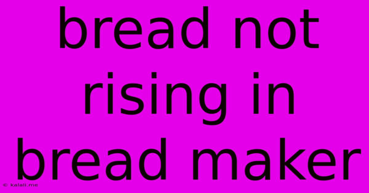 Bread Not Rising In Bread Maker