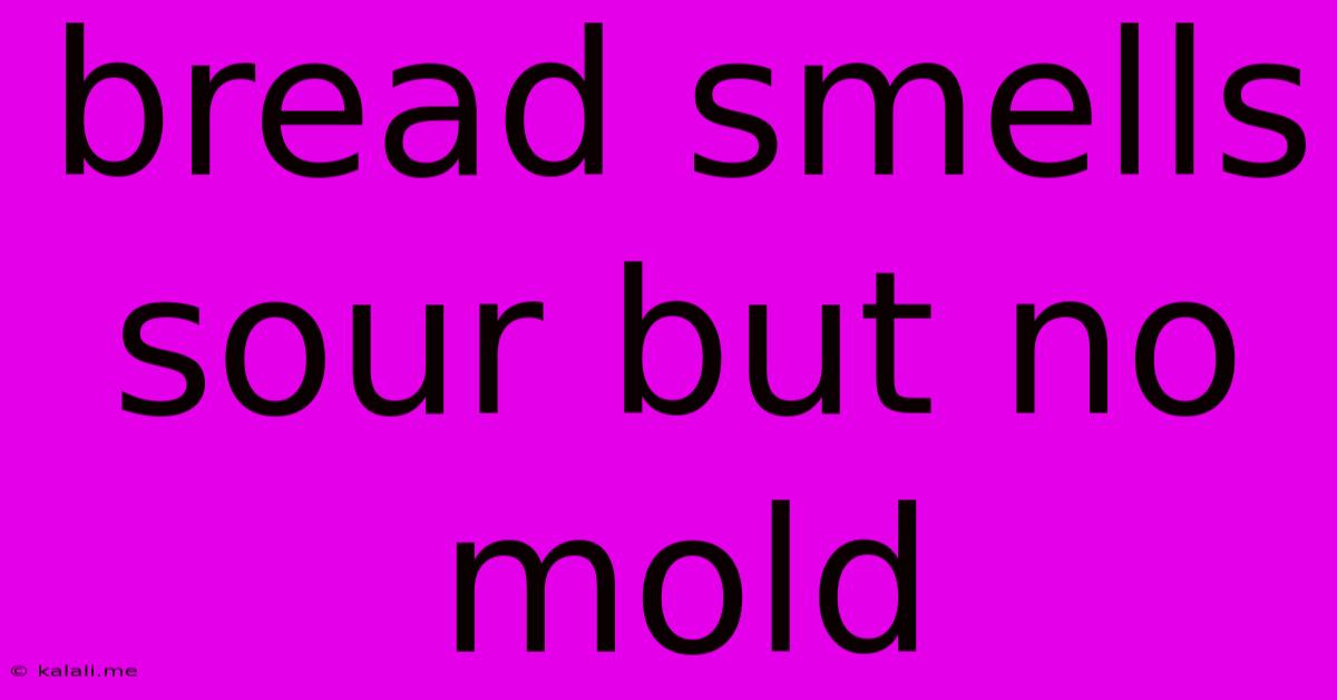 Bread Smells Sour But No Mold