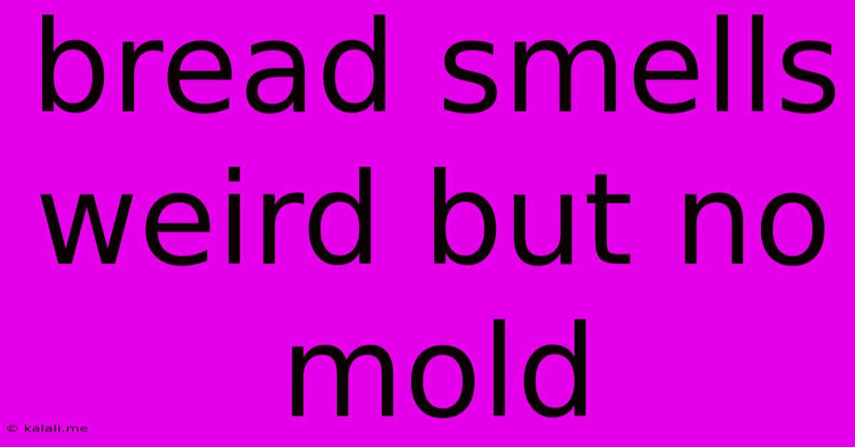 Bread Smells Weird But No Mold