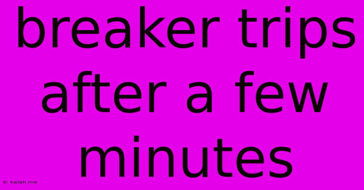 Breaker Trips After A Few Minutes