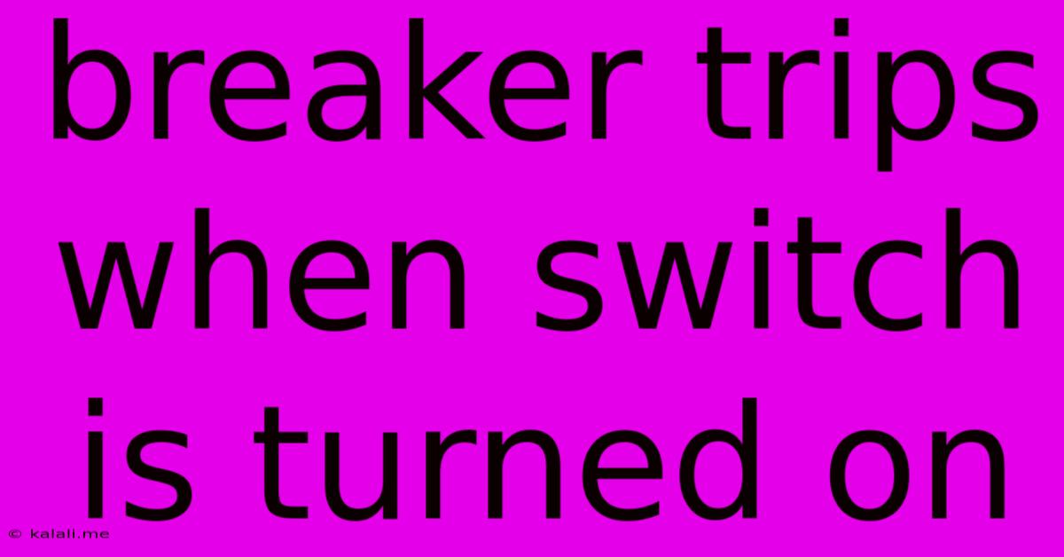 Breaker Trips When Switch Is Turned On