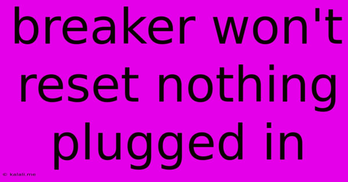 Breaker Won't Reset Nothing Plugged In