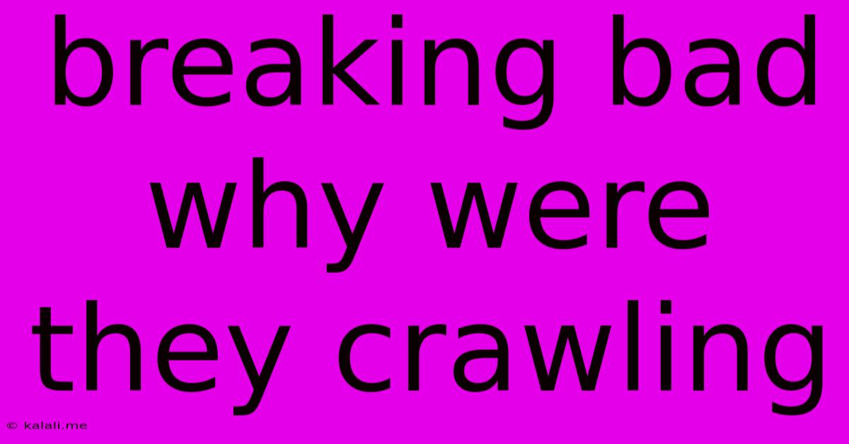 Breaking Bad Why Were They Crawling