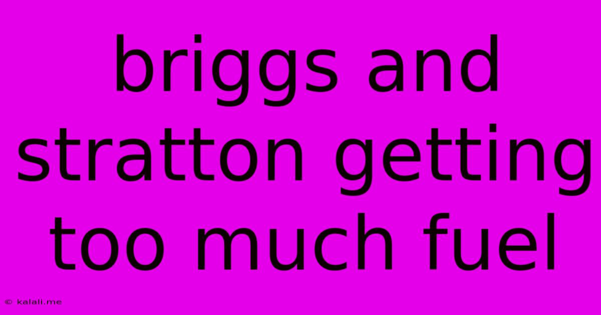 Briggs And Stratton Getting Too Much Fuel
