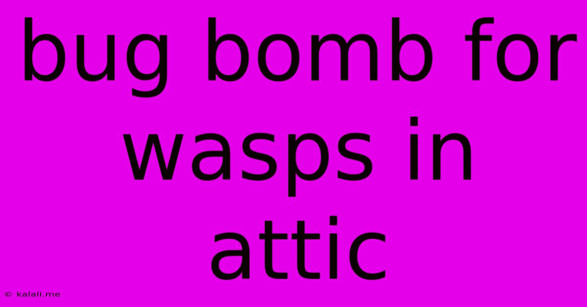 Bug Bomb For Wasps In Attic