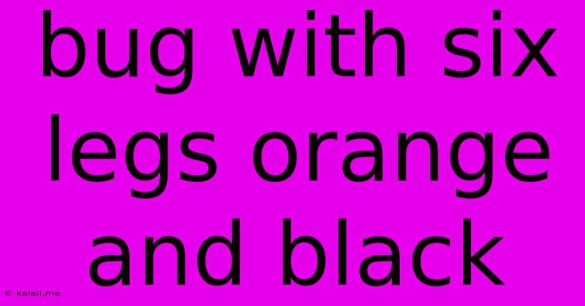 Bug With Six Legs Orange And Black