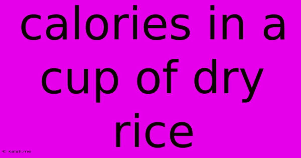 Calories In A Cup Of Dry Rice