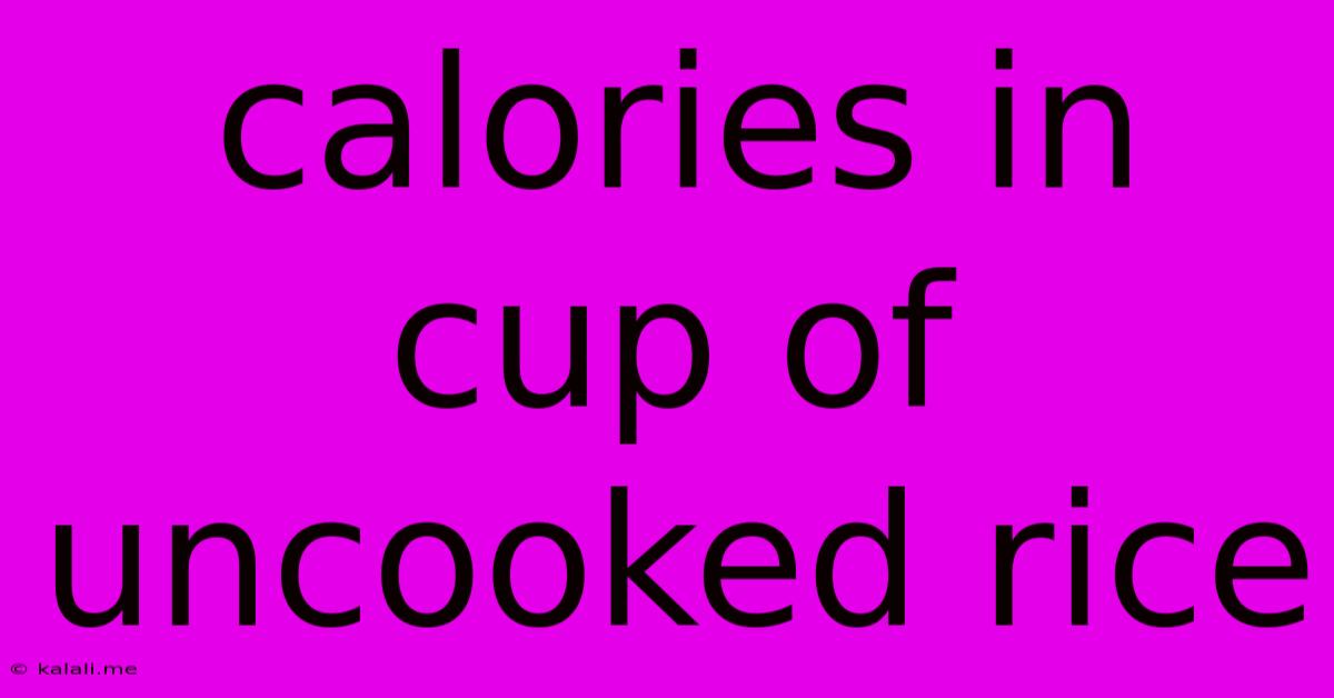 Calories In Cup Of Uncooked Rice