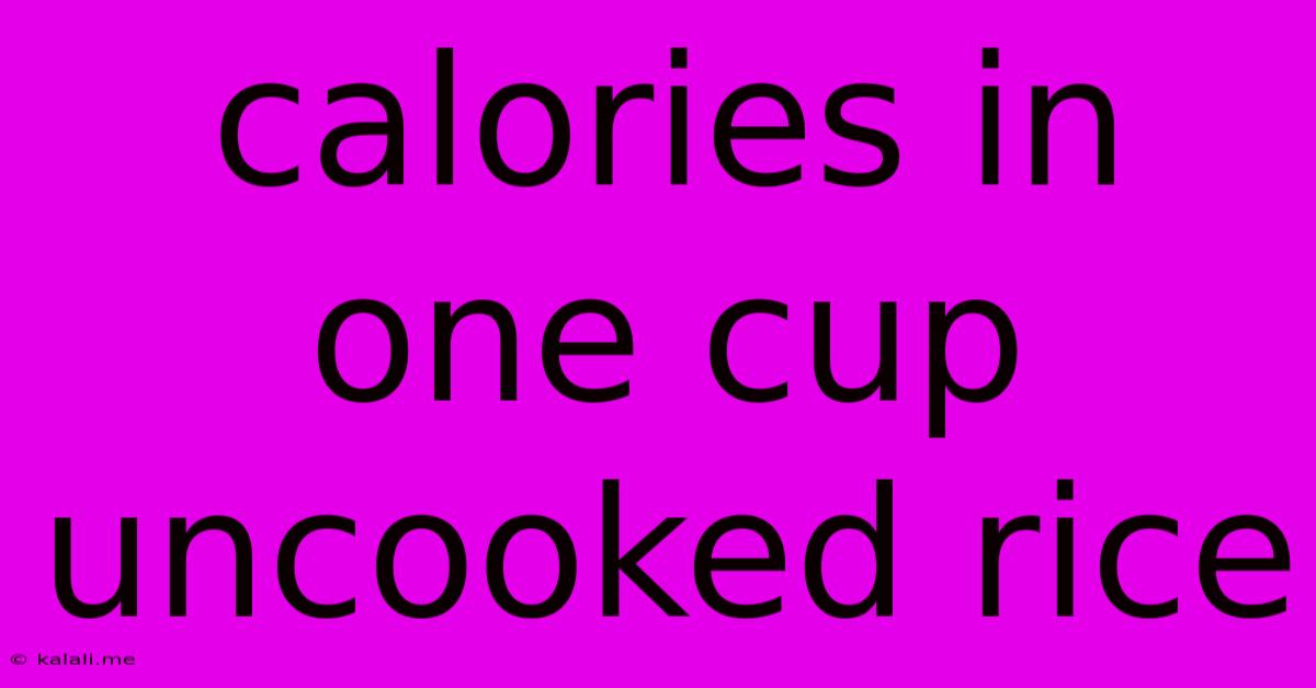Calories In One Cup Uncooked Rice