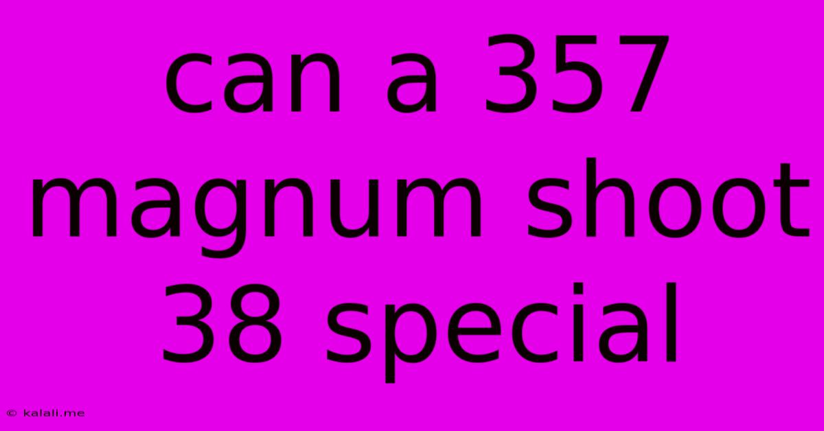 Can A 357 Magnum Shoot 38 Special