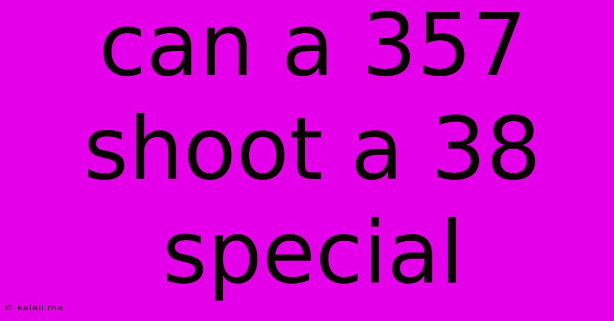 Can A 357 Shoot A 38 Special