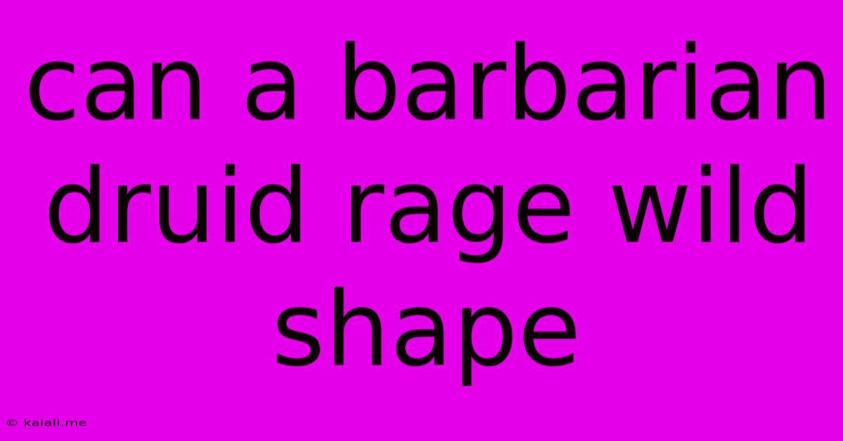 Can A Barbarian Druid Rage Wild Shape