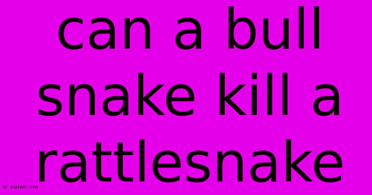 Can A Bull Snake Kill A Rattlesnake