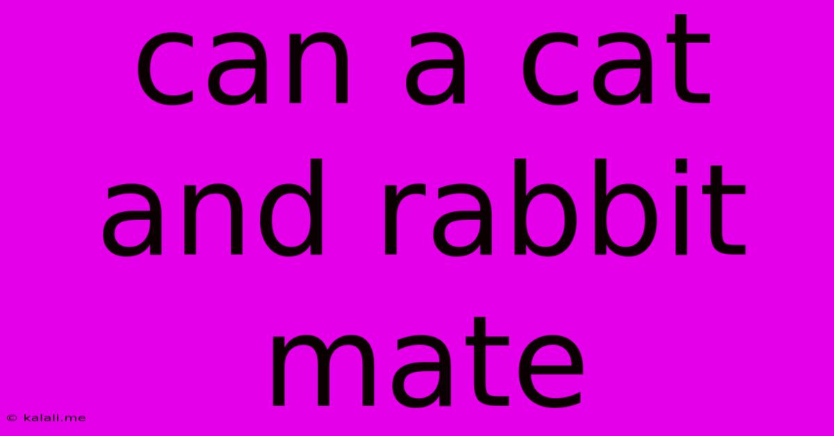 Can A Cat And Rabbit Mate